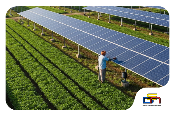 Solar Power for Agriculture sdn